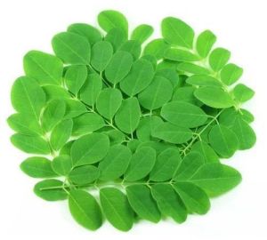 Moringa Leaves