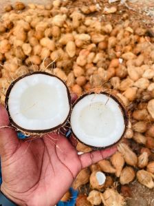 dry husked coconut