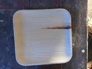 10 inch square disposable plates