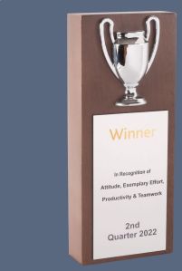 9.5 x 4 Inch Wooden Trophy