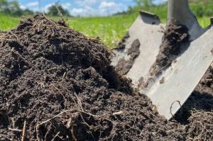 Mix Organic Manure