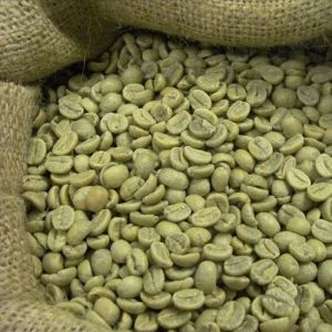 Arabica Plantation AA Green Coffee Beans