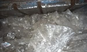 LDPE Film Scrap