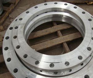 SS Flange Guards