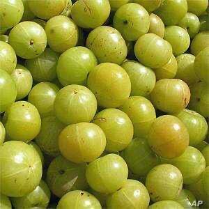 Fresh Amla