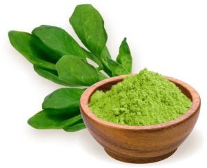 Dehydrated Spinach Powder