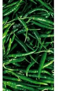 Green Chili