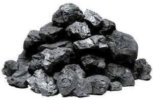 Steam Coal