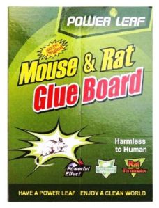 mouse glue trap