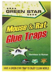 rat mouse control glue board