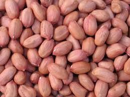 Natural Groundnut Seeds