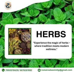 Ayurvedic Herbs