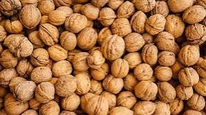 Fresh Walnuts