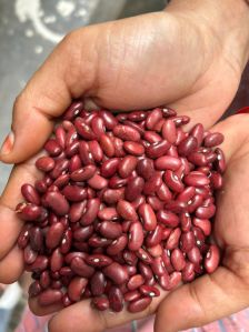 Kidney Beans