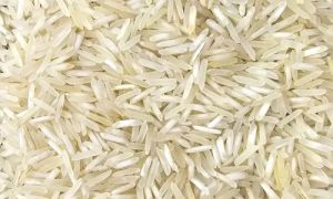 1509 Steam Basmati Rice