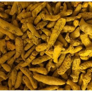 Himalayan Dried Turmeric Finger