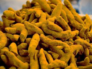 Himalayan Turmeric Finger