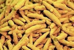 Organic Dried Turmeric Finger