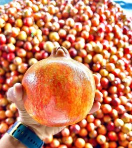 Fresh pomegranate