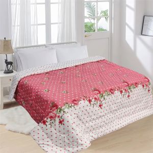 Double Bed Queen 150 GSM AC Comforter