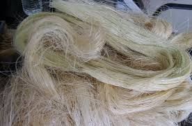 Sisal Fibre