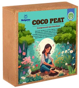 Coco peat bricks