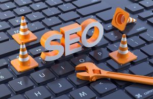 Search Engine Optimization Services