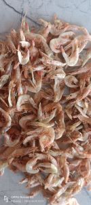 Dry Large Shrimp