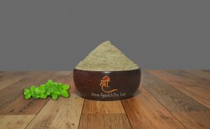 dried mint powder