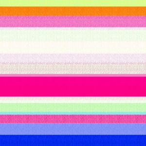 Stripe Printed Fabric