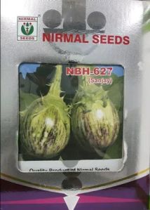 NBH-627 Sanjay Brinjal Seeds