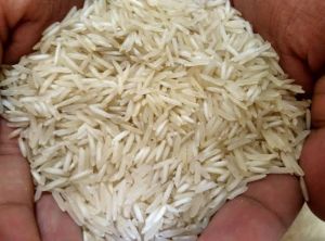 Basmati rice