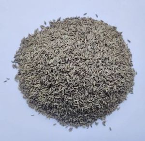 Cumin Seeds