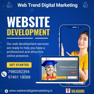 Website Designing