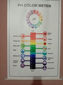 Educational Charts