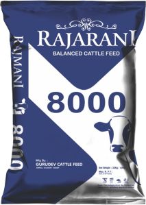 rajani 8000 cattle feed