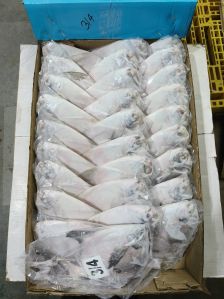 Frozen Silver Pomfret Fish