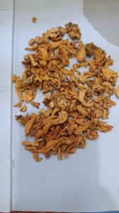 Cordyceps Militaris