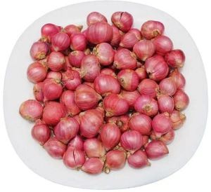 Small Red Onion