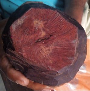 Red sandalwood