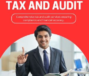 tax audit