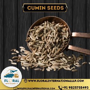 Cumin Seeds