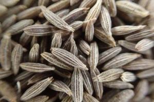 Cumin Seeds