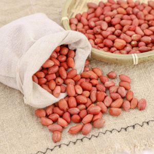 Organic Red Peanuts, Shelf Life