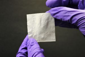 Collograft L Collagen Sheet