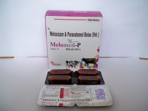 Meloxicam and Paracetamol Bolus