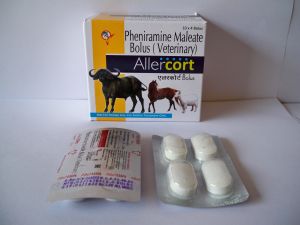 Pheniramine Maleate bolus