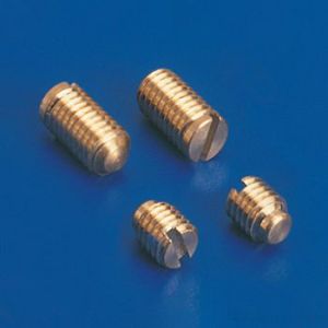 brass grub screw