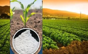 Agricultural Calcium Carbonate Powder