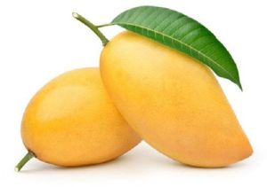 Fresh Mango